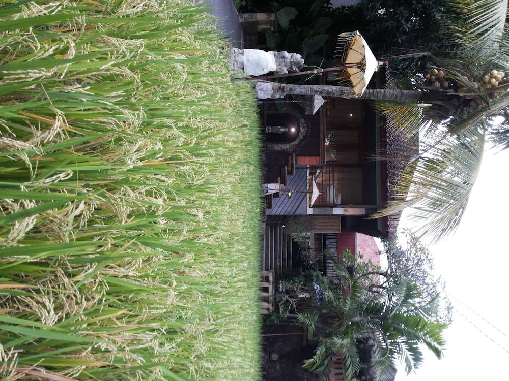 Bali Putra Villa Убуд Экстерьер фото